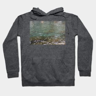 Shallow Ocean Water, Sea Weed, Nature Photography Hoodie